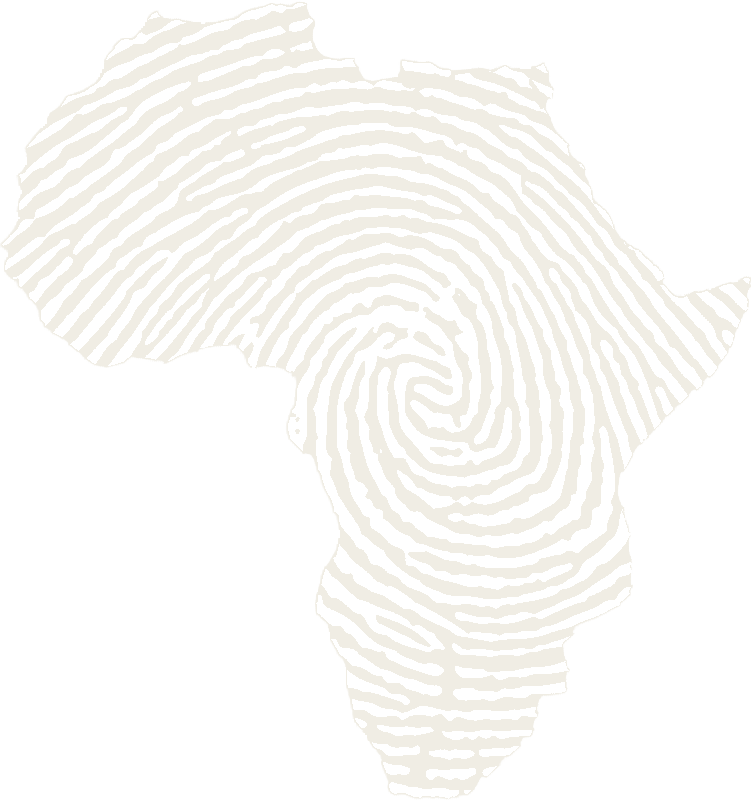 Africa Peace Fellowship logo